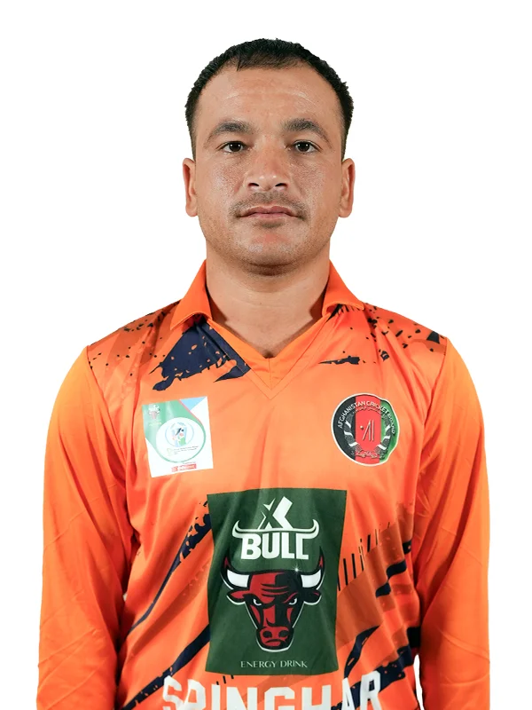 Arshaduddin Safi